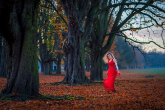 3_31c8c93a83f21ff4fa0d1ec6128f61af