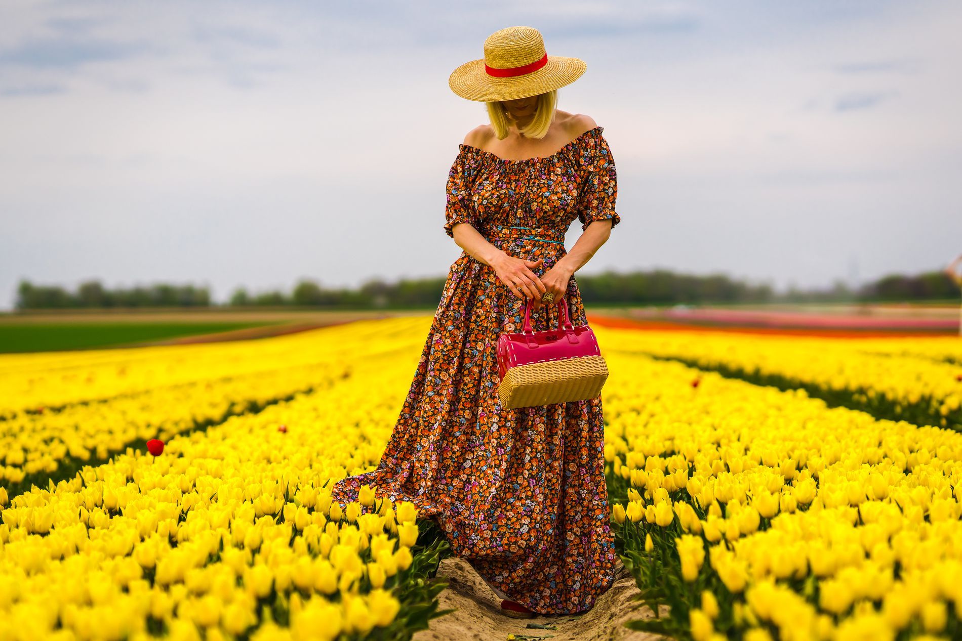 Tulpenfeld im Frühling