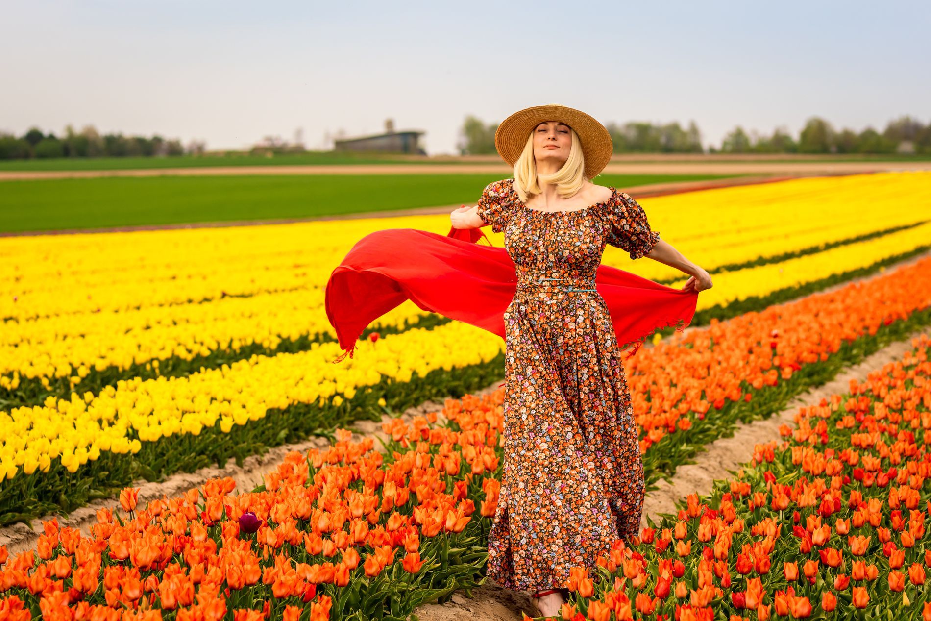 Tulpenfeld im Frühling