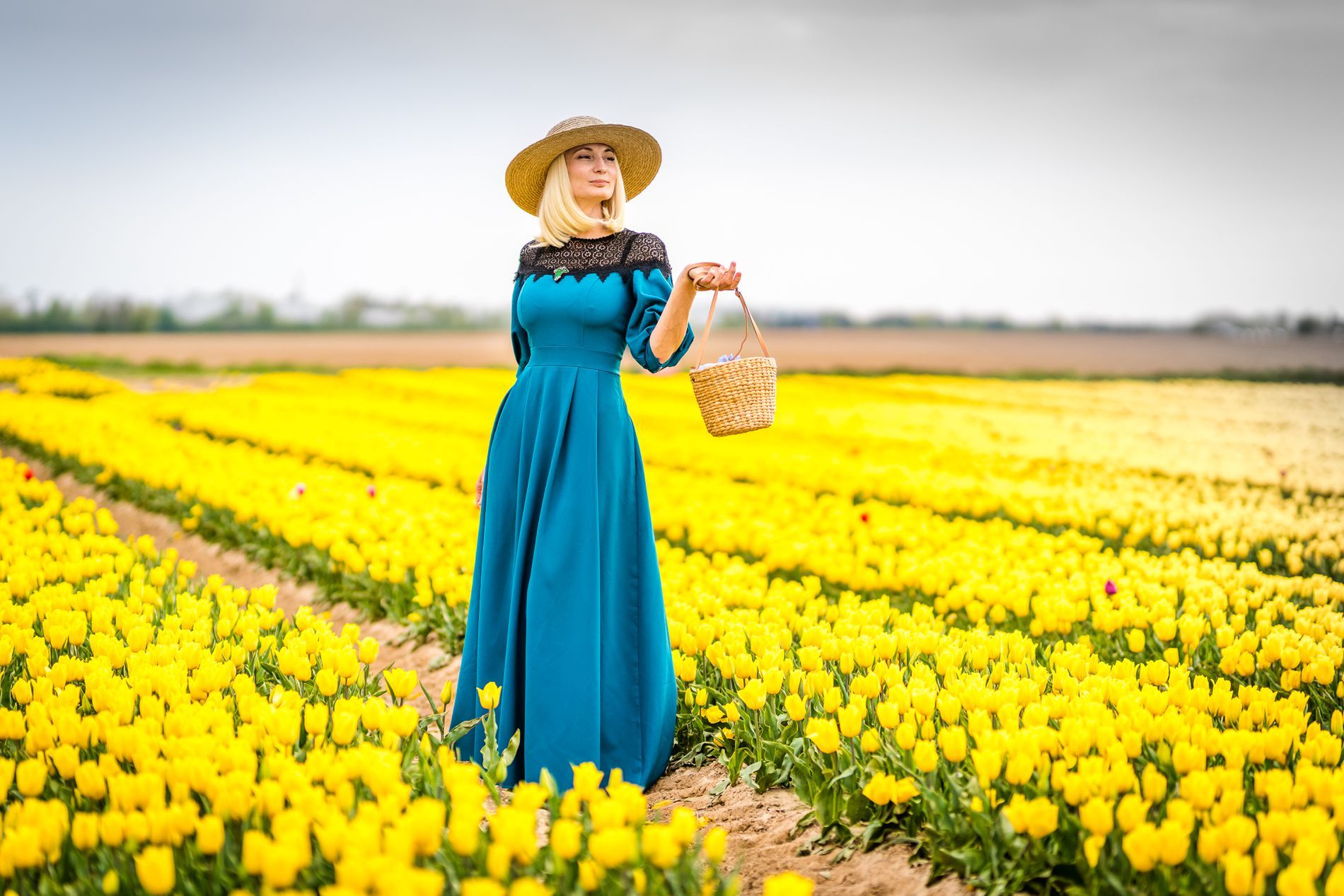 Tulpenfeld im Frühling